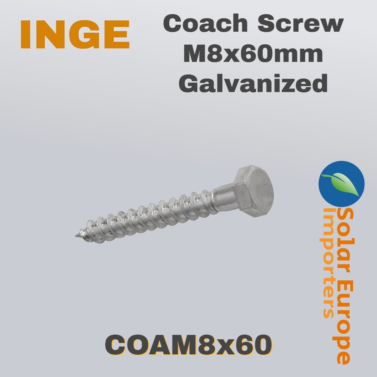 Coach Screw M8x60mm Galvanized (COAM8x60)